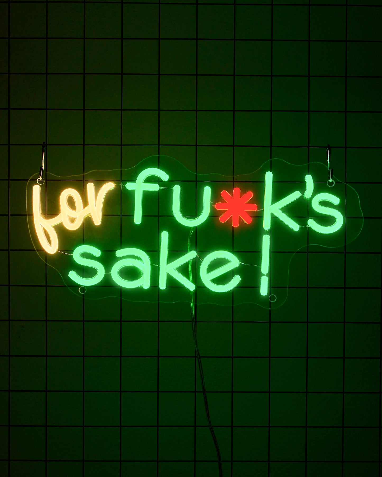 For fu*k's sake